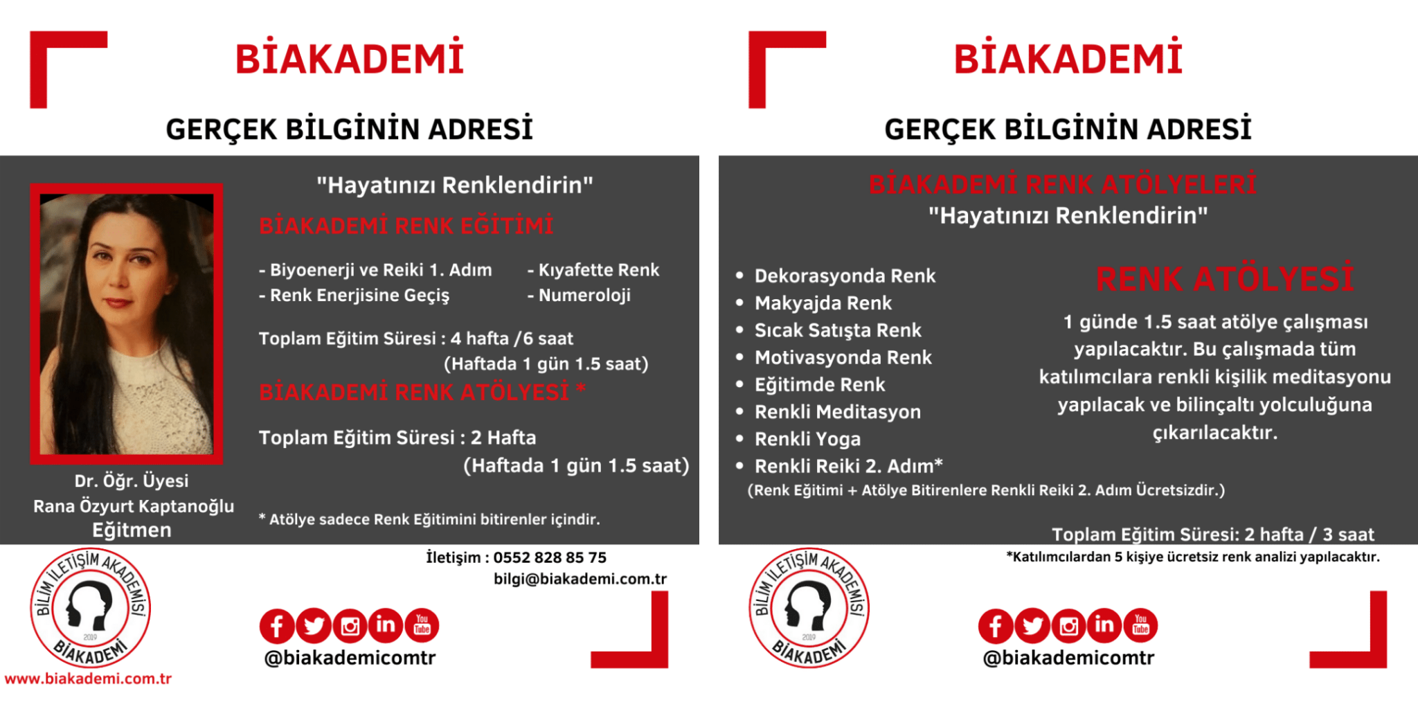 Biakademi Renk Eğitimi